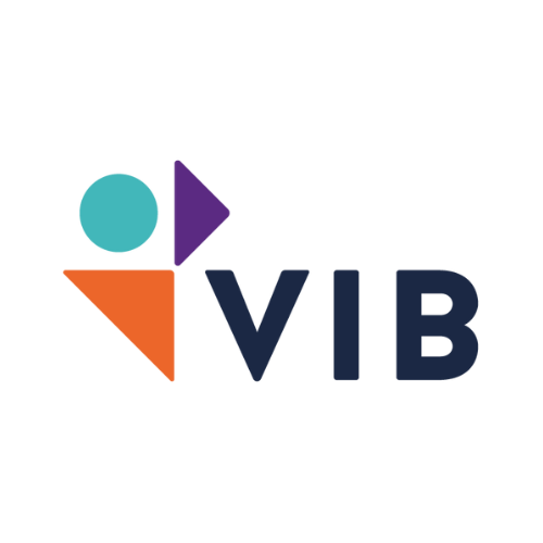 trusted_companies_vib
